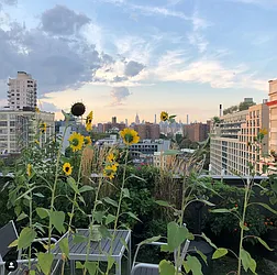 Rented by Owen C Wright, LREB