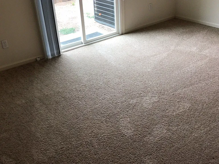 1014 Arbor Dr #1 — Photo 8