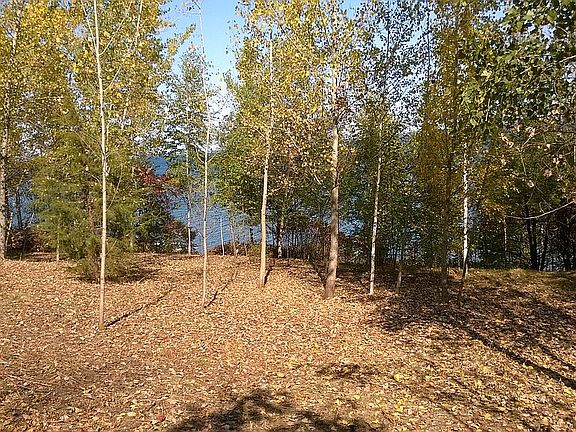 Subdivide for two lake homes