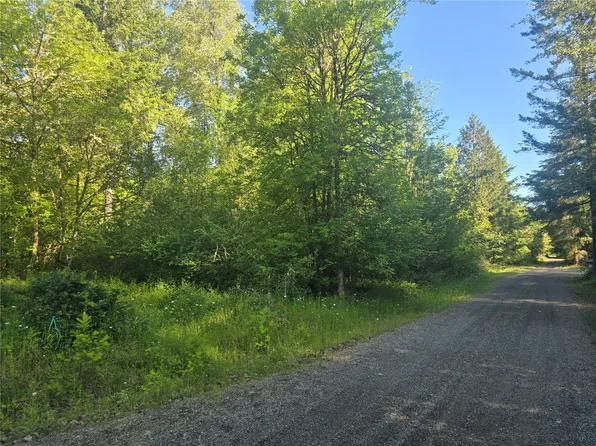 13701 Starflower Lane SE, Yelm, WA 98597