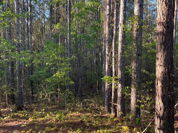 21 Shore Side Ln #214, Sylacauga, AL 35151