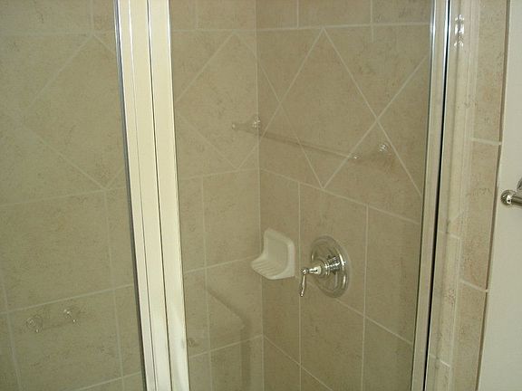 Master Bathroom Shower