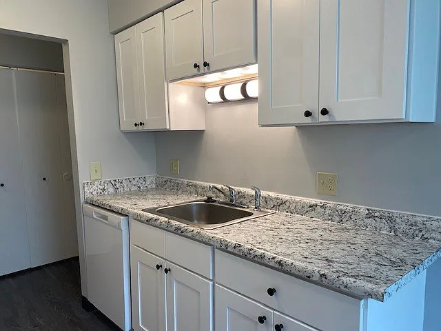 River Raisin Apartments — Photo 41