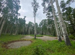 485 Ponderosa Way, Cimarron, CO 81220