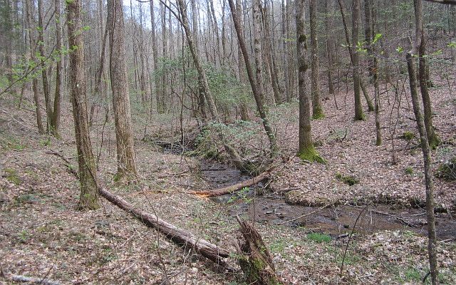 1st image of Stillhouse Creek Dr