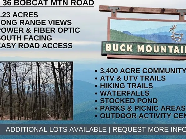 36 Bobcat Mountain Rd Lot 36, Purlear, NC 28665