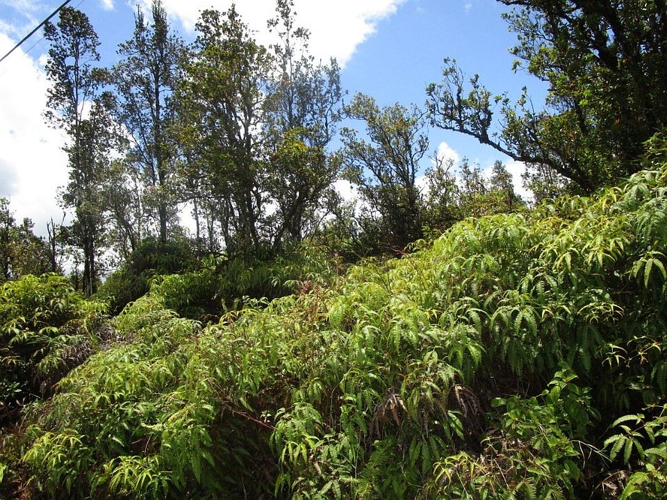 2nd image of Pikake St