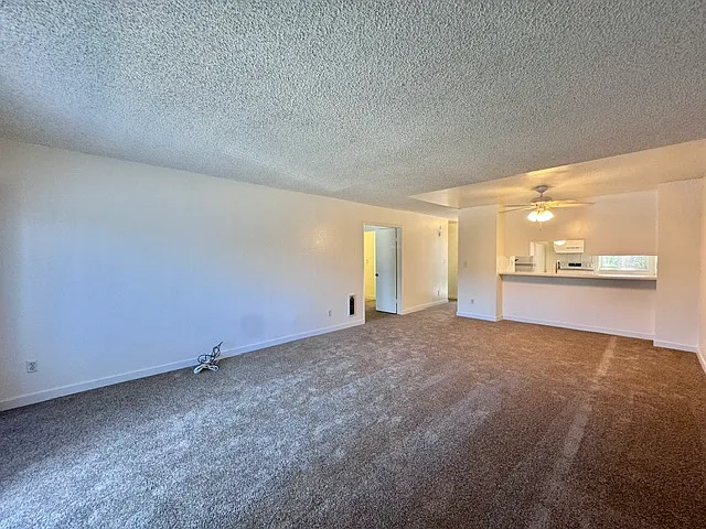 4164 Mount Alifan Pl #F — Photo 5