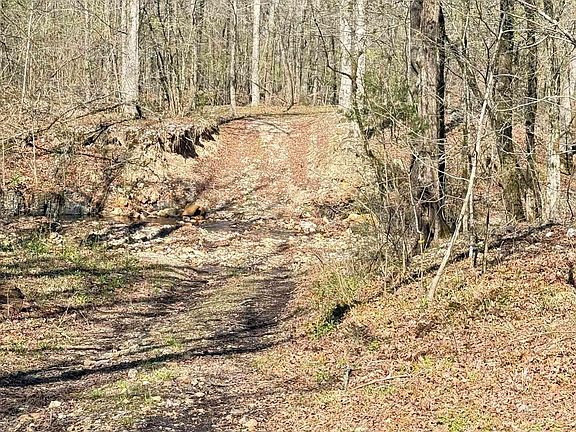 3rd image of Jones Valley Rd