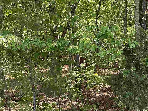 4th image of 135 Whitt Haven Dr