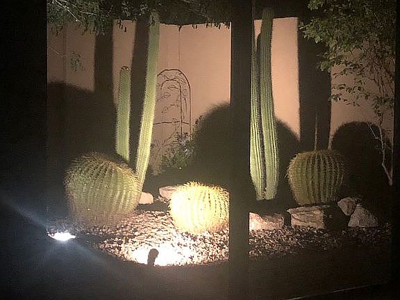 5th image of 11649 N 42nd Pl