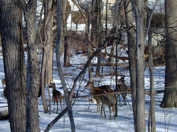 In awesome wooded setting