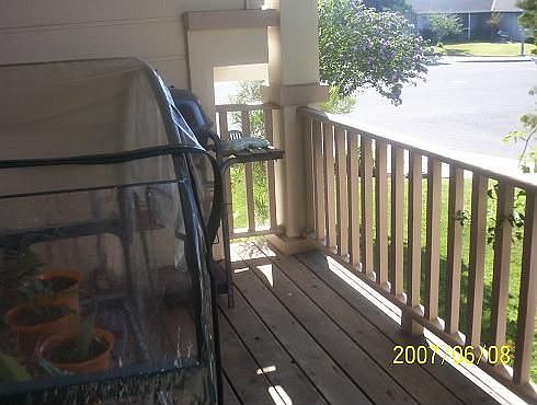 New Front Porch Redwood