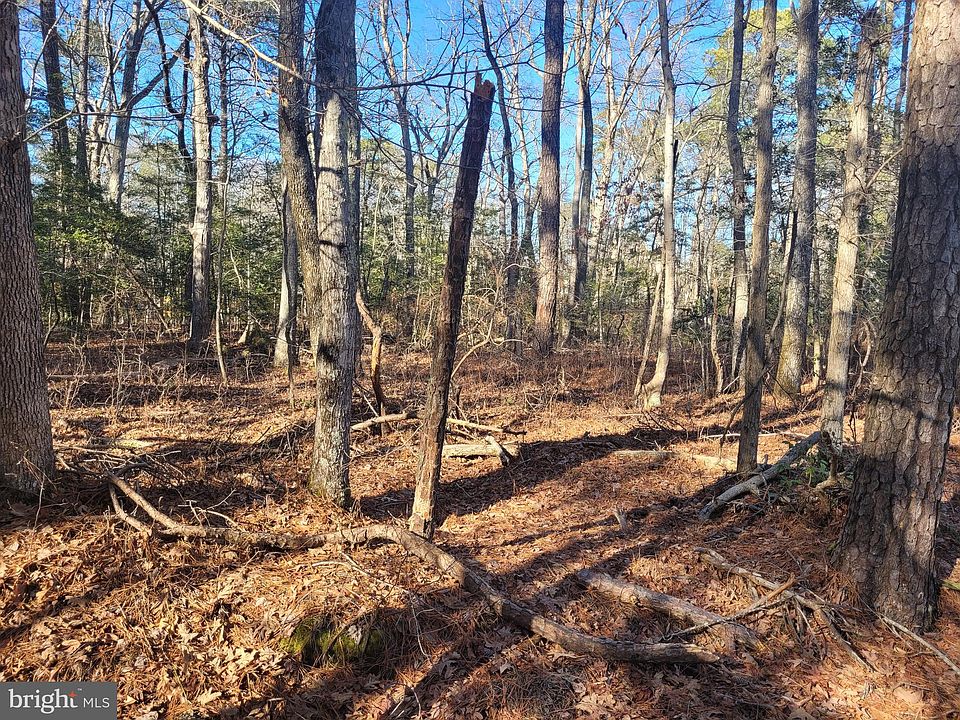 2nd image of 20 Orange Dr