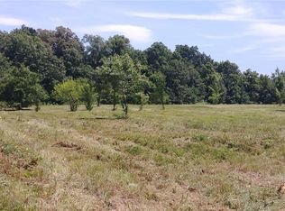 356 Bethel Rd, Hawk Point, MO 63349