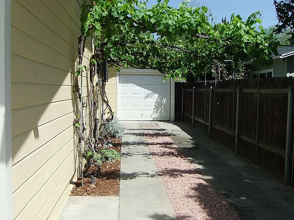 Grape Trellis 