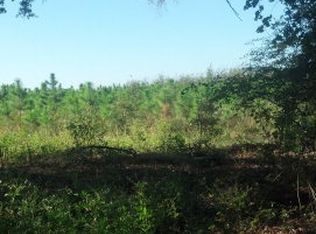 85 Northwest St, Bell, FL 32619