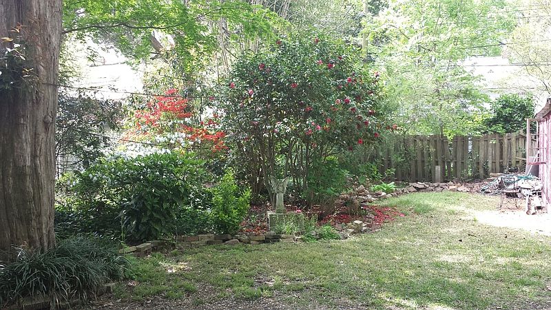 2nd image of 229 Hurley Ave
