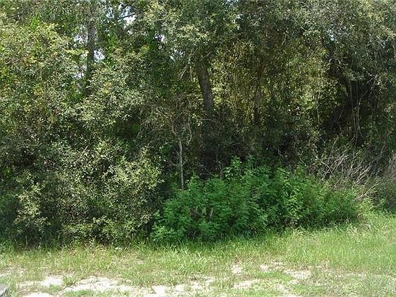 3rd image of 1680 Cedro Ave