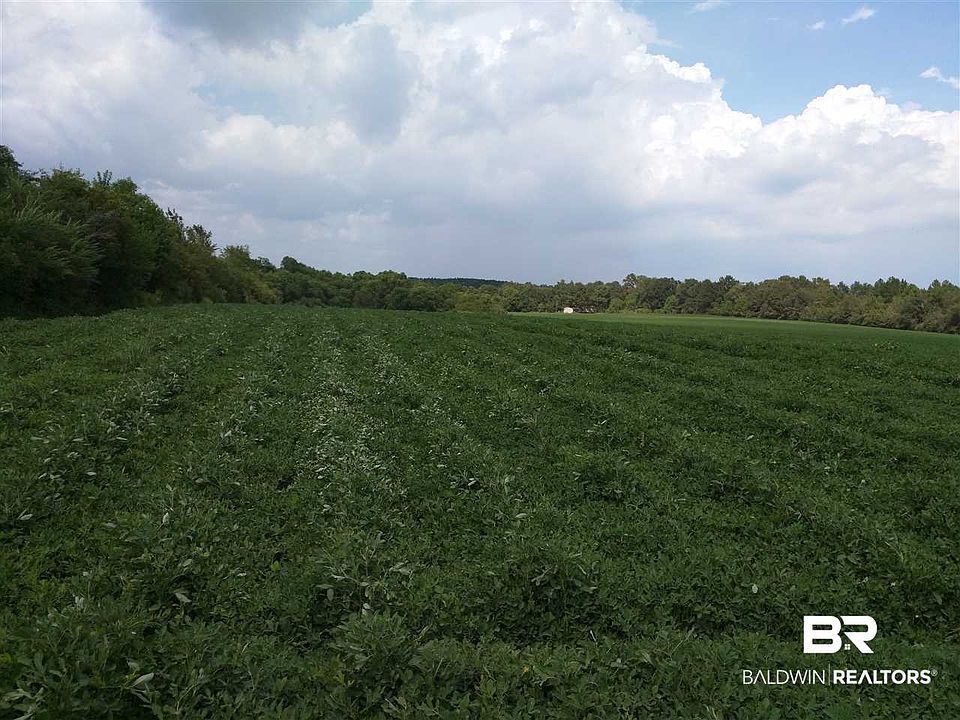 1st image of 22351 County Road 68