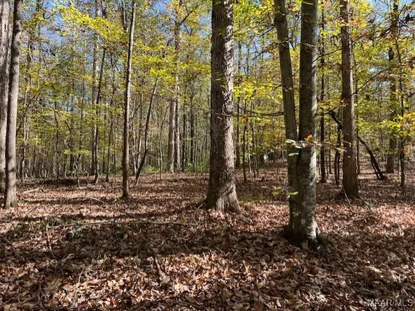 0 Dorough Rd, Columbiana, AL 35051