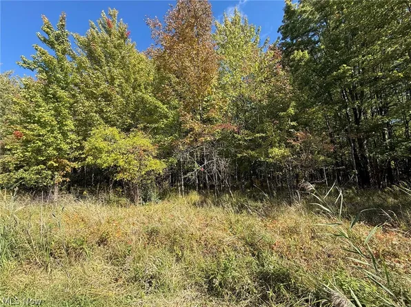 V/l 1 Trask Rd, Leroy, OH 44086