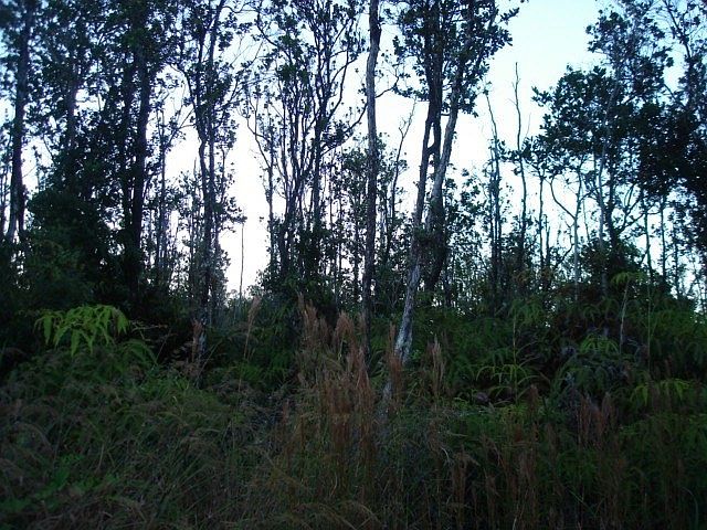 2nd image of Ohialani Rd Lot 42