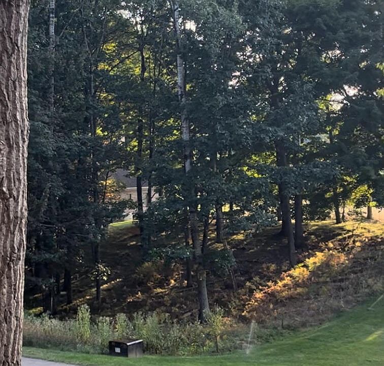 1st image of 9341 Briarstone Dr