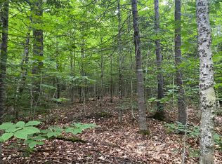 29 Scammon Rd, Greenville, ME 04441