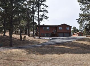 5575 Stone Tree Ct, Piedmont, SD 57769