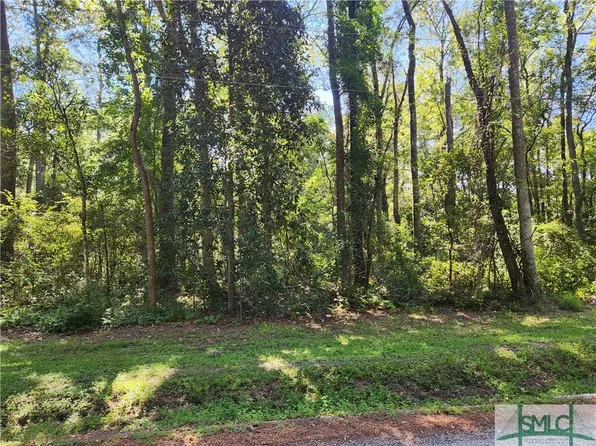 0 Little Mccall Road, Rincon, GA 31326