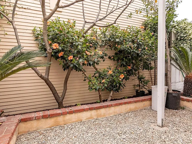 524 Linden Ave #524 — Photo 9