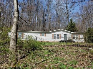 169 Spring Mountain Rd, Fairview, NC 28730