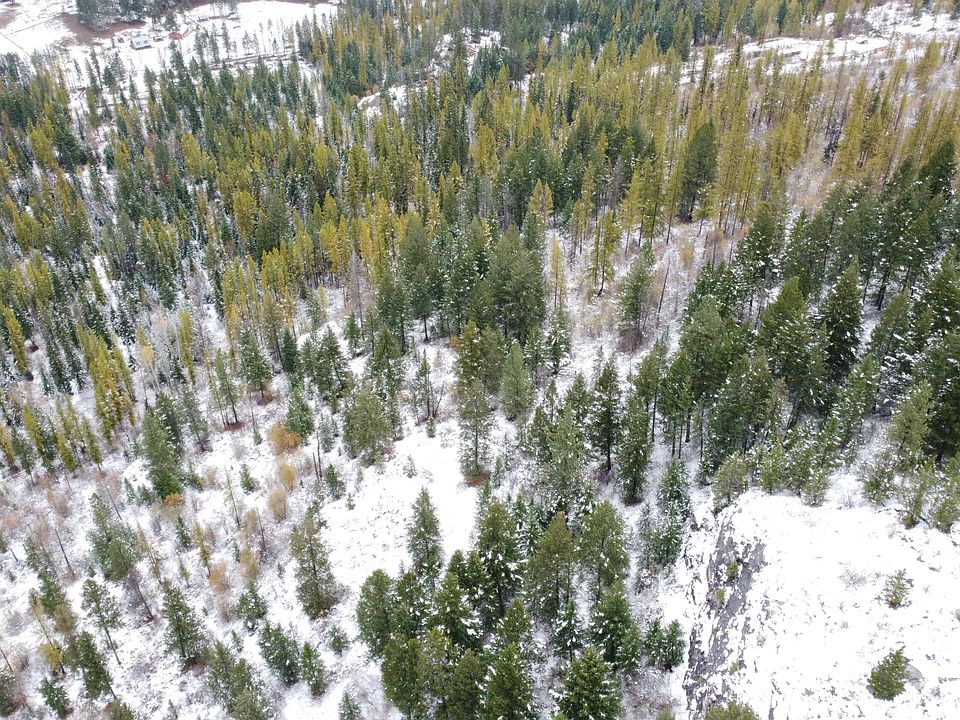 2nd image of Larkspur Way
