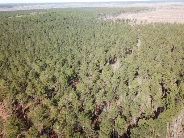 0 Old Pleasant Hill Rd, Zwolle, LA 71486