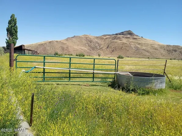 Jackamore Ln, Woodruff, AZ 85942