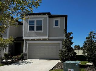 31779 Blue Passing Loop, Wesley Chapel, FL 33545