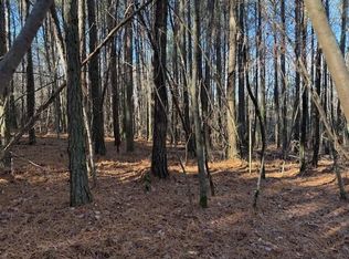 9 State Highway 11, Valley Head, AL 35989