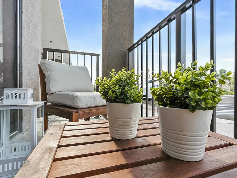 The Perfect Spot for Plants & Peace