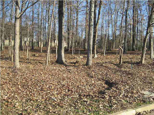 2nd image of 0 Green Glades Lot 31