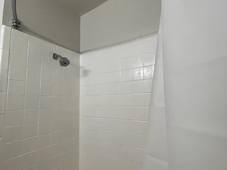 Tiled shower and tub