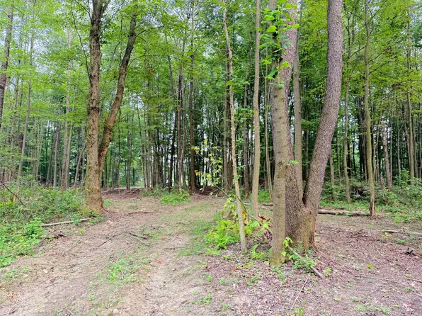 0 Petersburg Rd, Hadley, PA 16130