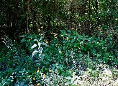 4th image of County Road 3503