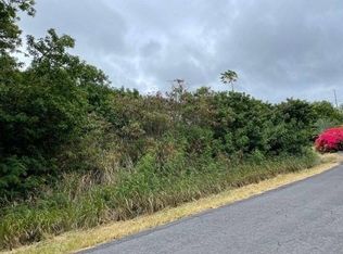 Kaulua Cir LOT 31, Naalehu, HI 96772