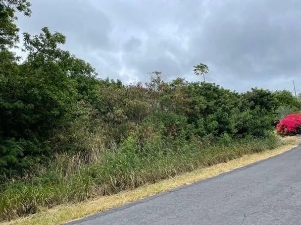 Kaulua Cir Lot 31, Naalehu, HI 96772