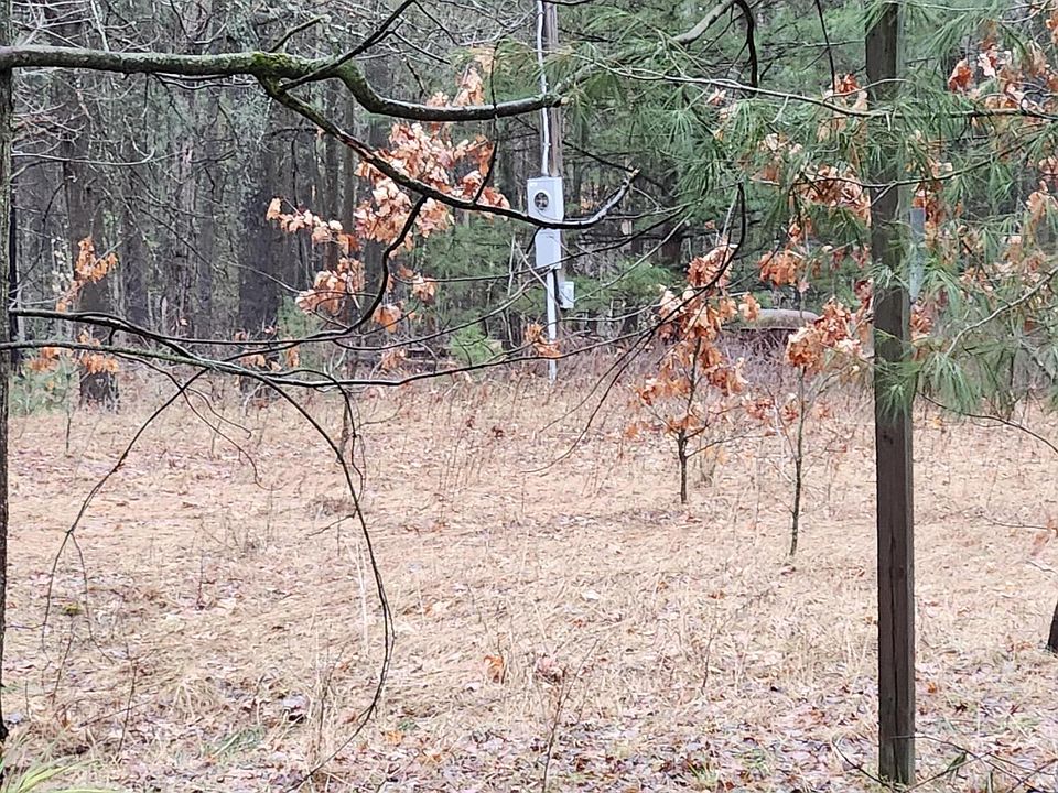 2nd image of 8071 Rolling Rd