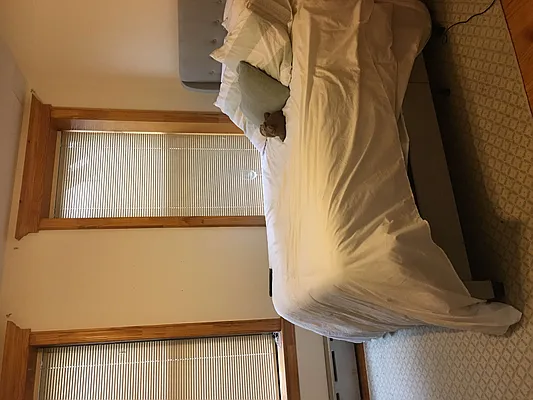 Rented by Peter Meskouris LREB | media 17