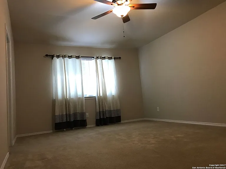 12214 Painted Daisy — Photo 10