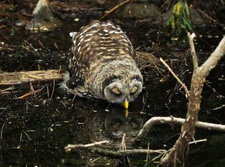 6730 Union Hill Rd, Canton, GA 30115