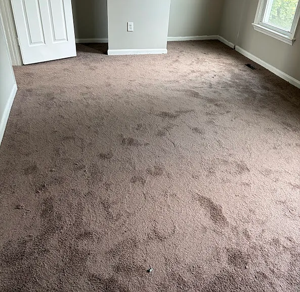 11140 Cherryvale Ter — Photo 5